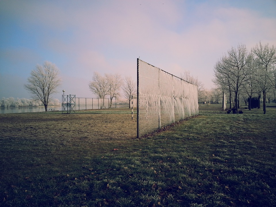 fence, park, grass
