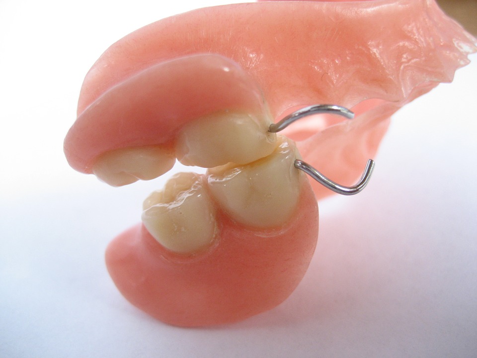 teeth, tooth, human