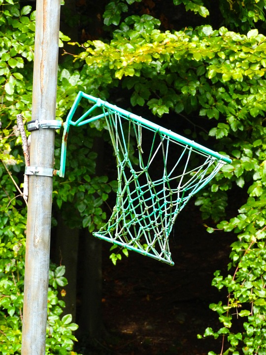 basketball hoop, basketball, throw in