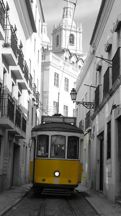 tram, means of transport, transport