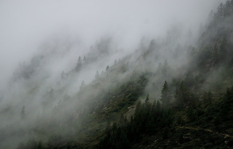 foggy, landscape, mist
