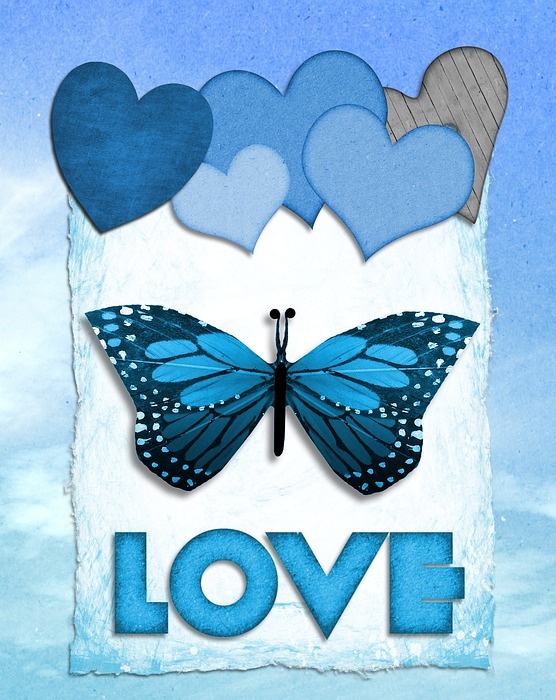 valentine, butterfly, love