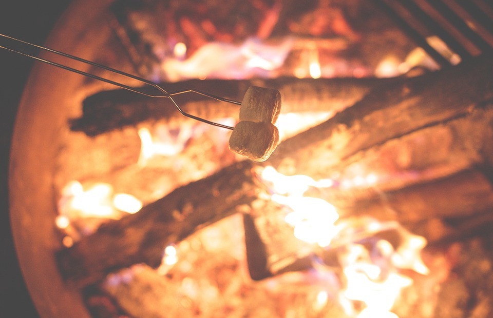campfire, marshmallows, fire