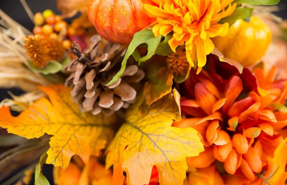 fall flowers, thanksgiving flowers, fall