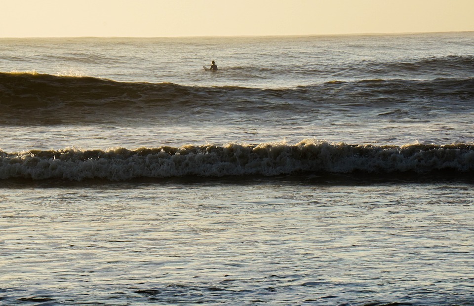 surfing, ocean, beach