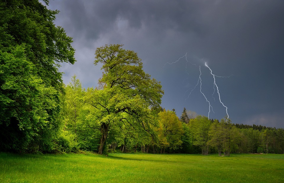 thunderstorm, lightning, trees