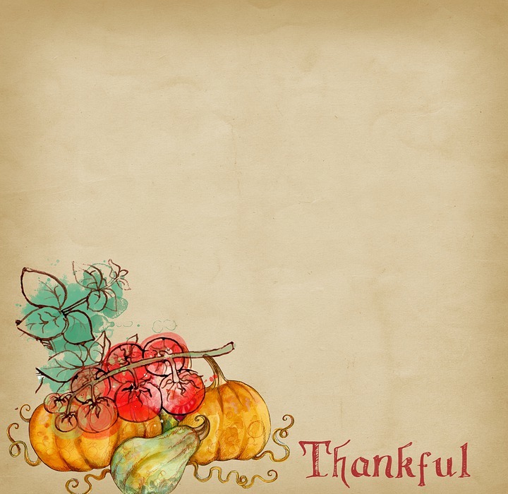 thanksgiving, thankful, harvest