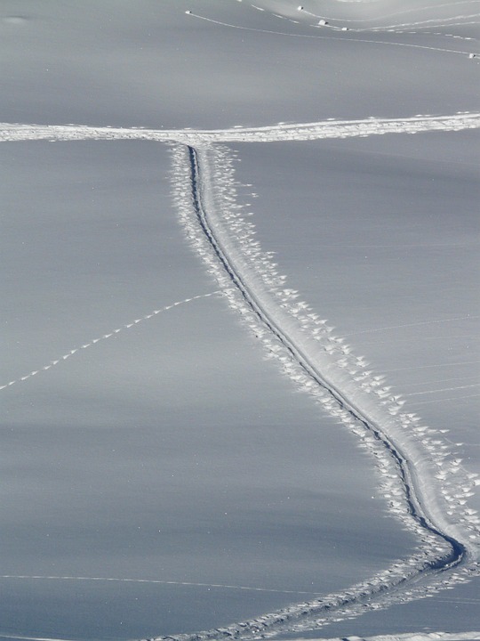 trace, trail, cross country skiing