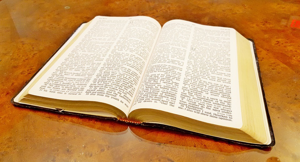 bible, open bible, christian