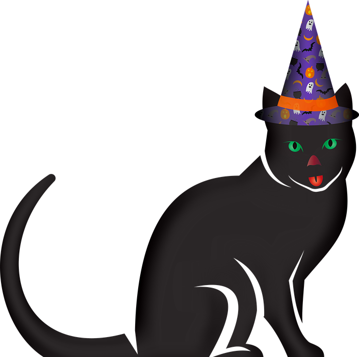 halloween decorations, black cat, feline