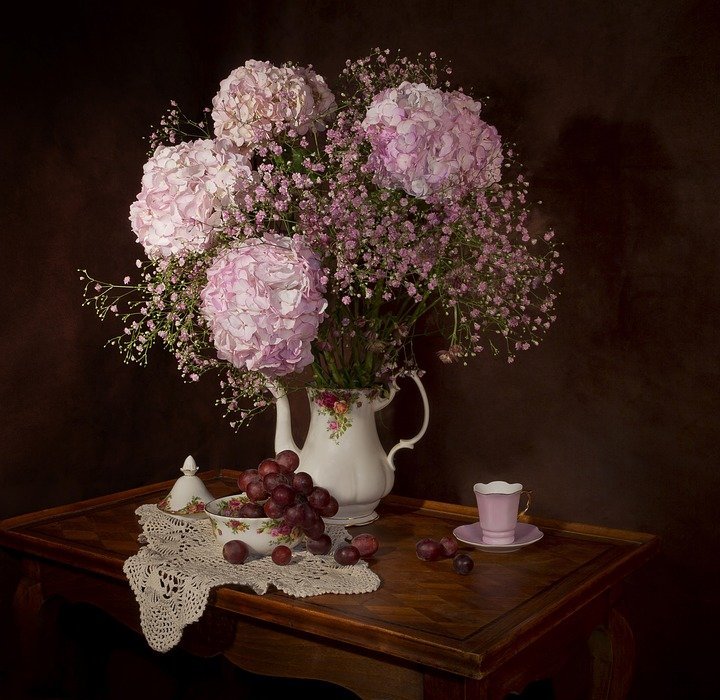 flowers, hydrangeas, vase