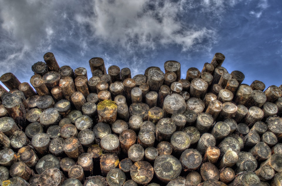 logs, wood, timber