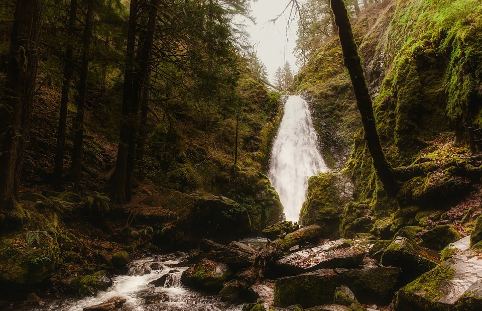 oregon, landscape, waterfall