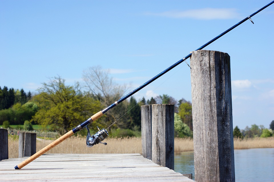 fishing rod, fish, angler