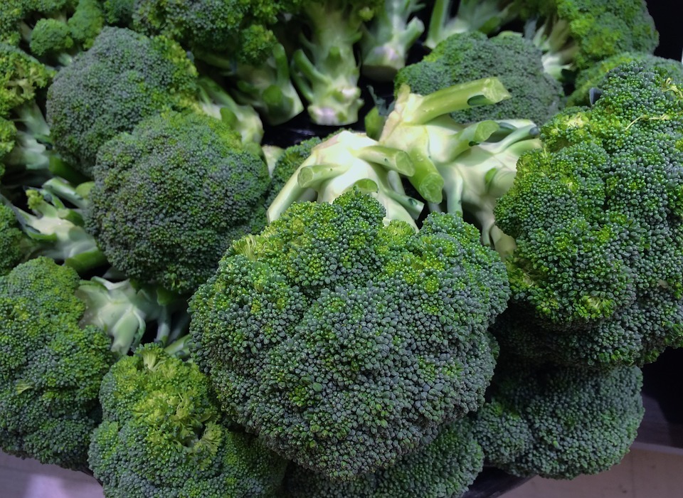broccoli, green, young and vivacious