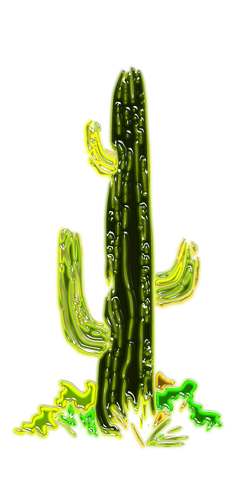 cactus, desert, plant