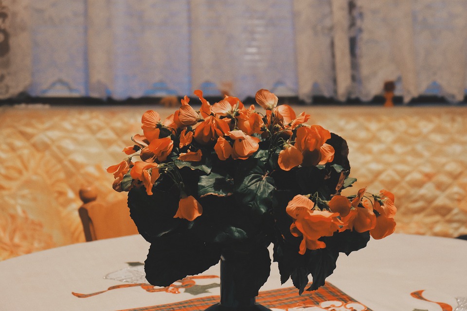 orange, flowers, vase