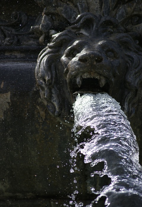 fountain, lion, water