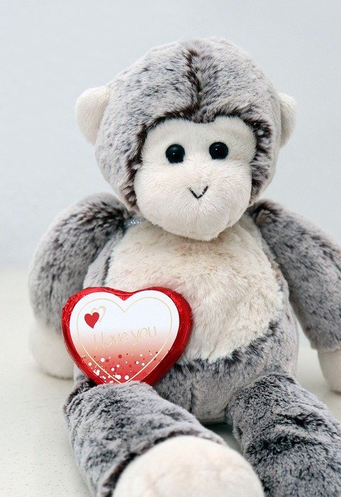 valentine's day, stuffed animal, love
