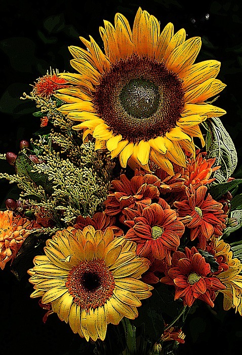 flower of sunflower, flower, sunflower