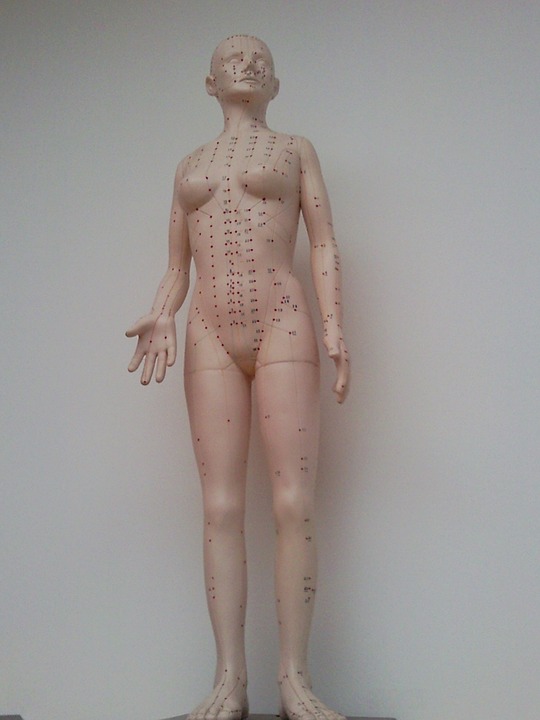 acupuncture, puppet, model