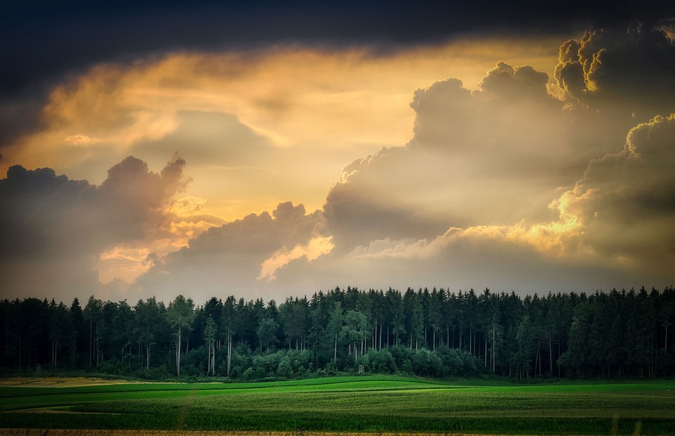 thunderstorm, thunderclouds, forest