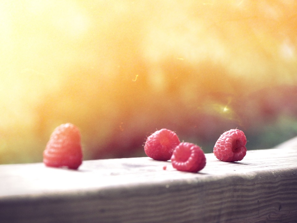 raspberries, red, berries