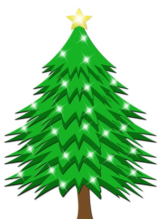 christmas tree, tree, holiday