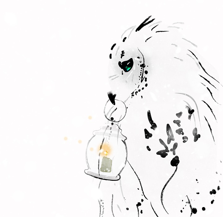 snowy owl, bird, lantern