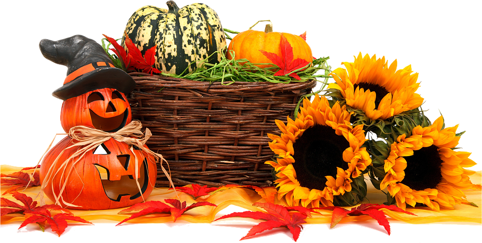 autumn, food, thanksgiving