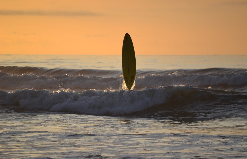 surfing, sunset, surf board