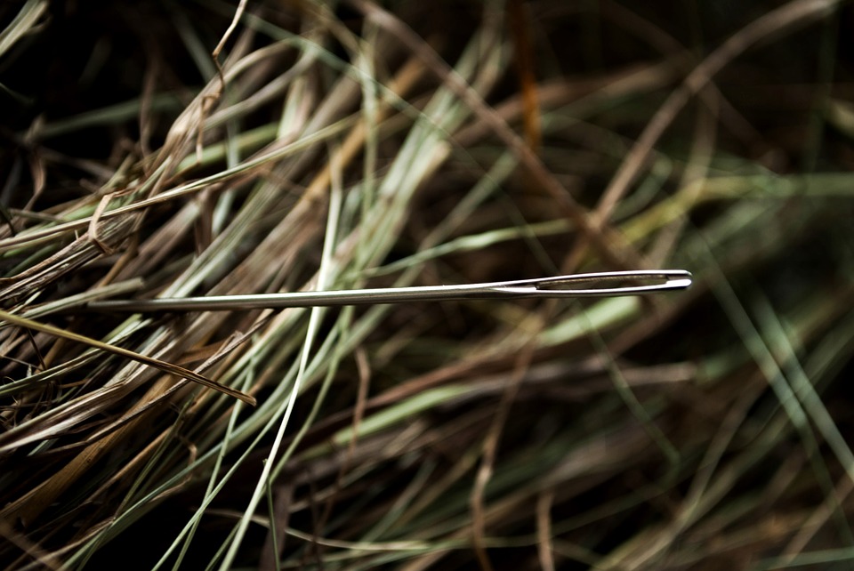 needle, hay, needle in a haystack