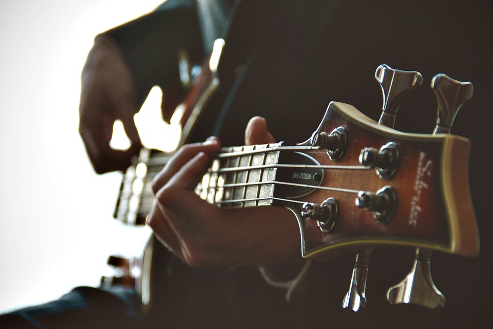 guitarist, guitar, playing