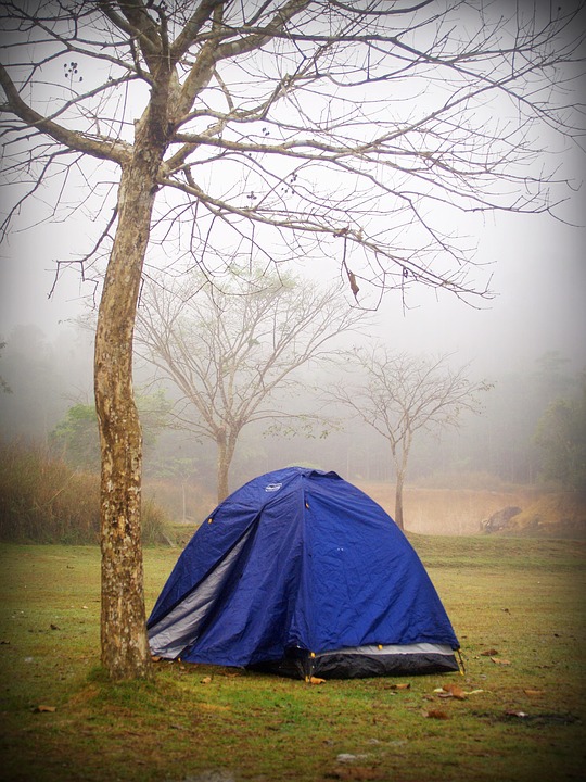 camp, tent, tree