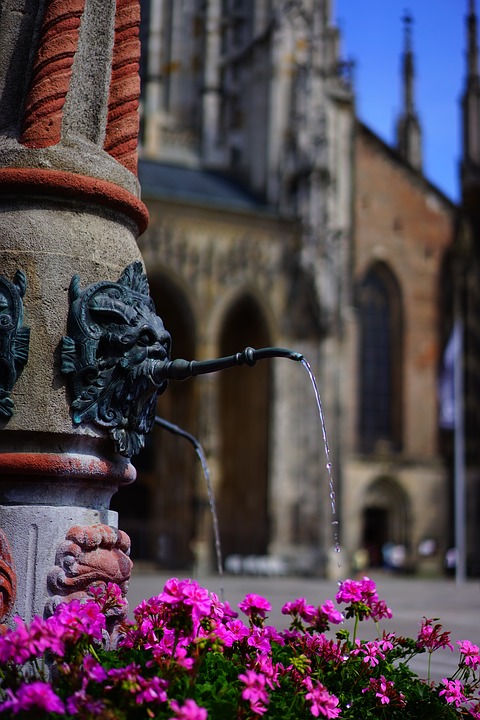 fountain, water, geranium