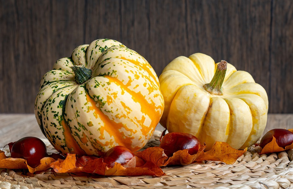 thanksgiving, pumpkin, halloween