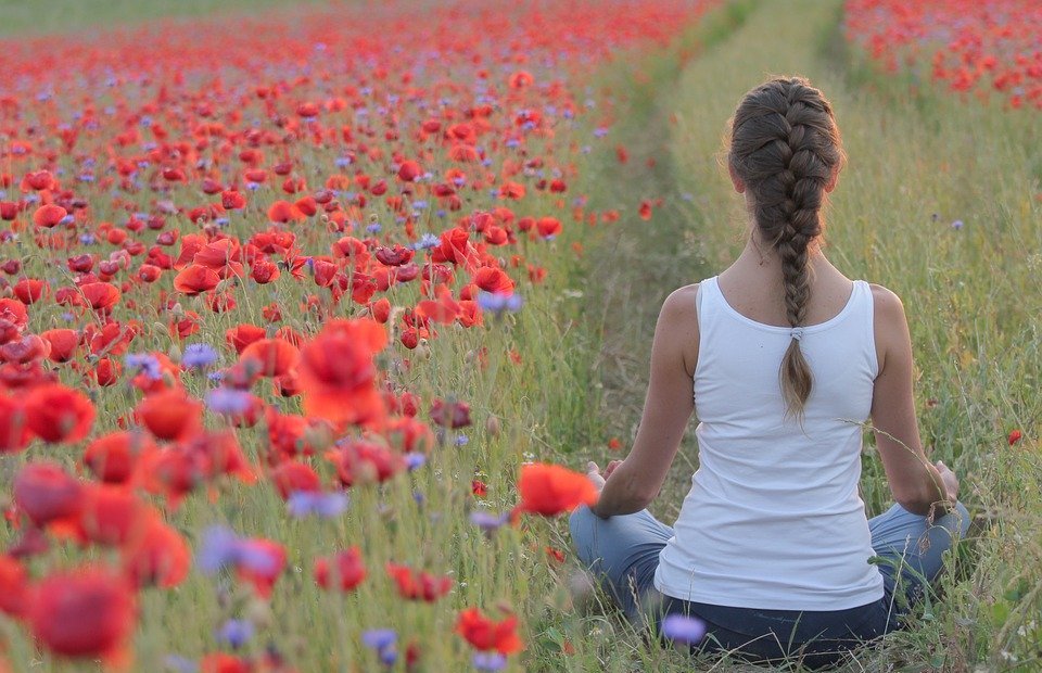 poppies, yoga, field
