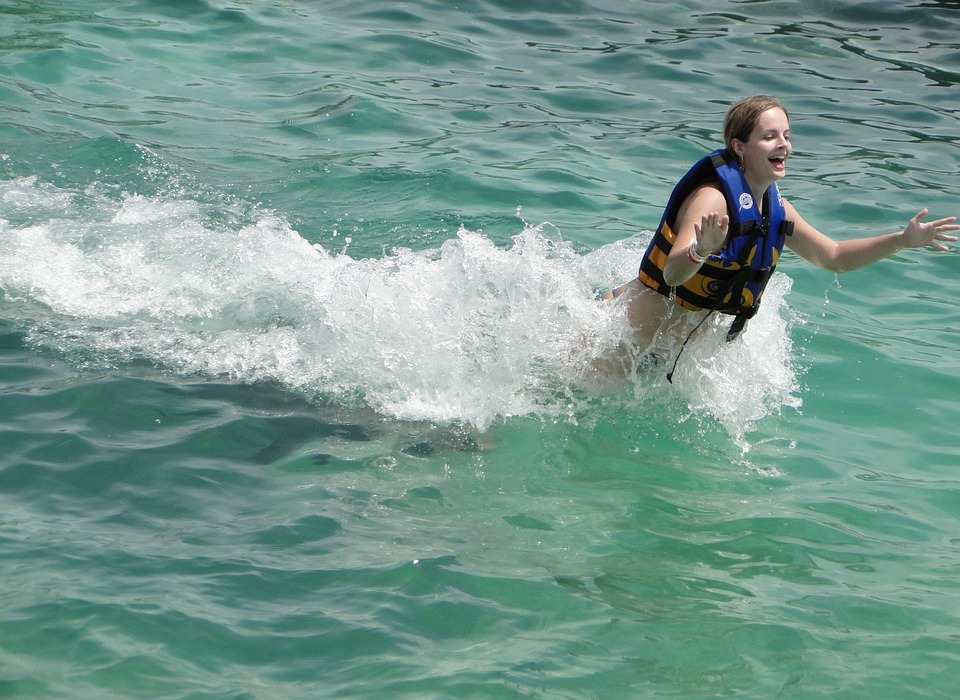 dolphin, treading water, swimming