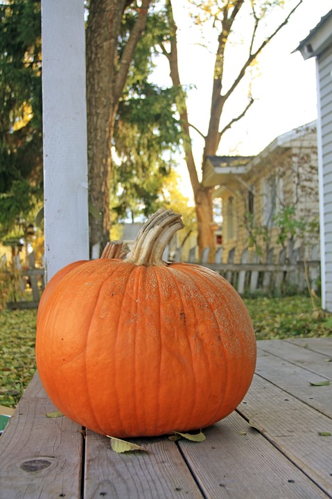pumpkin, halloween, autumnal