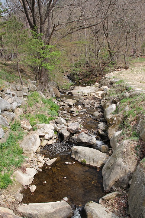 the creek, nature, spring