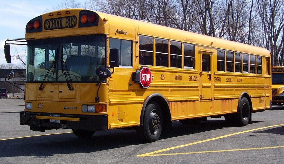 school bus, america, transportation