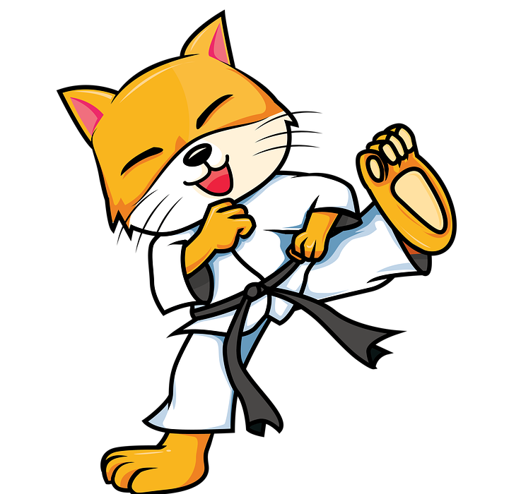 karate, cat, cartoon