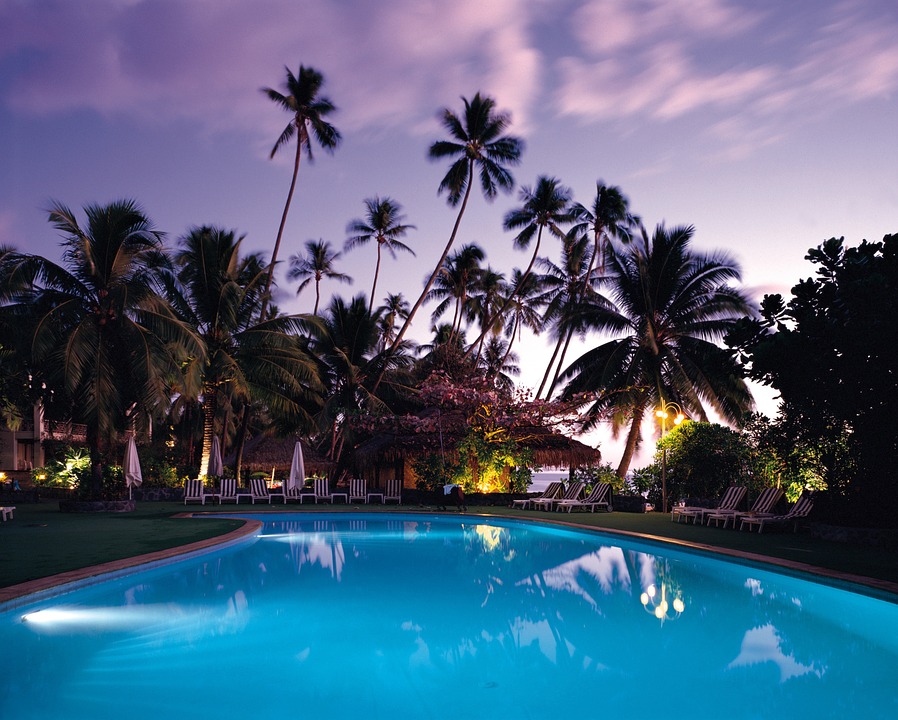 swimming pool, palm trees, resort