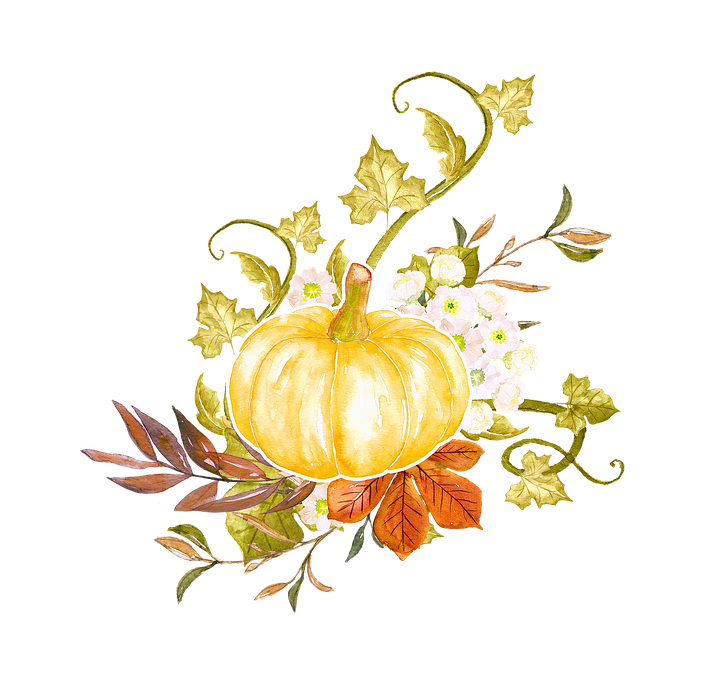 thanksgiving, autumn, ornamental