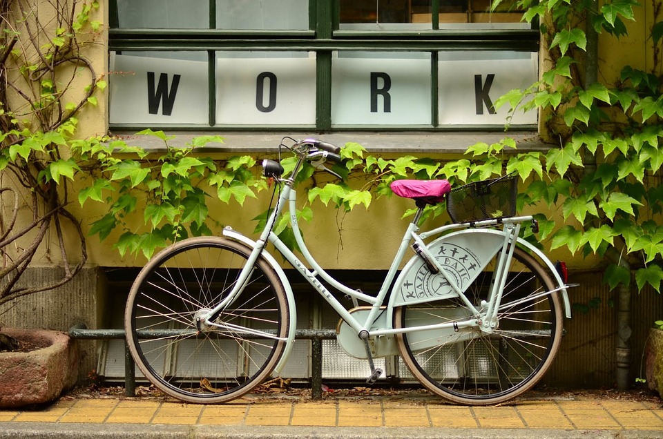 bike, bicycle, plants