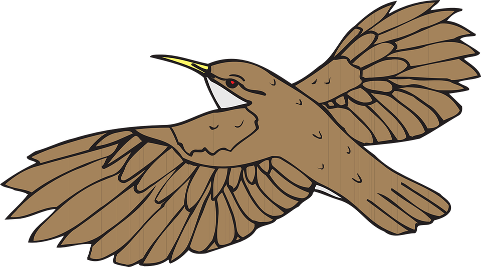 brown, bird, flying