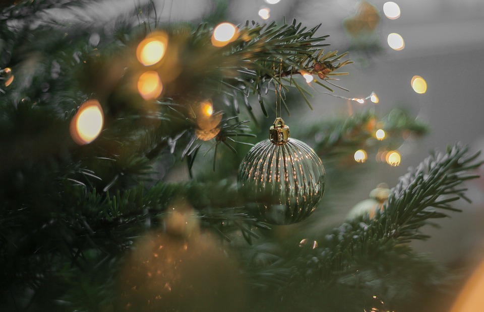 christmas, tree, lights