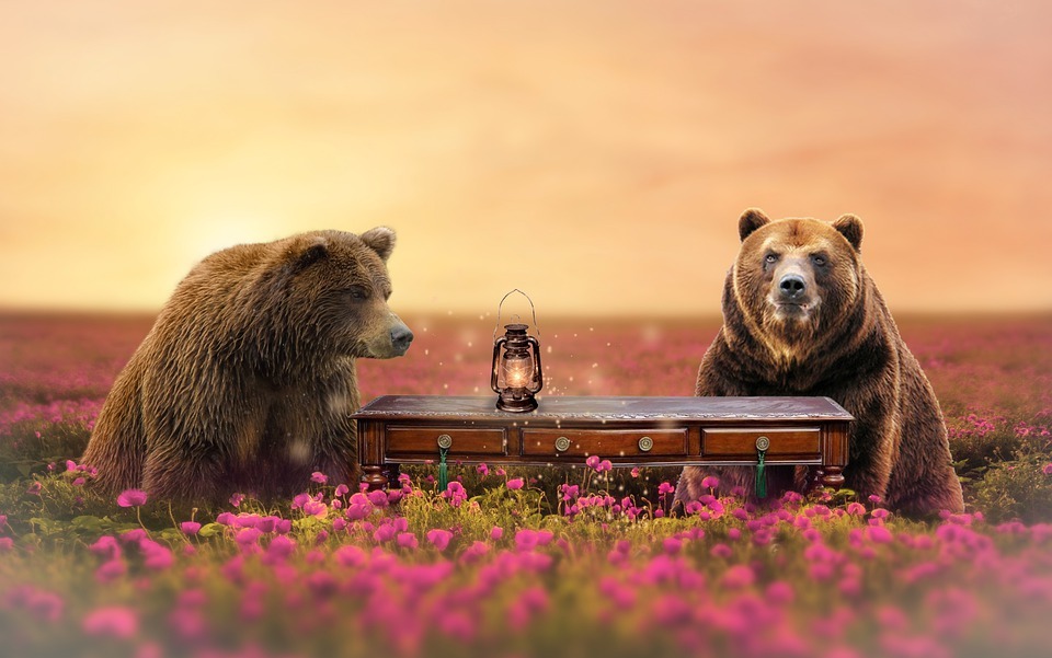 picnic, bears, flowers