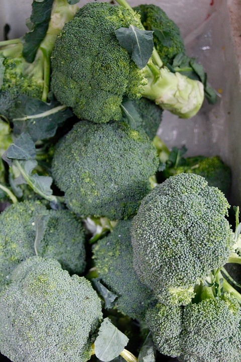 broccoli, vegetables, nutrition