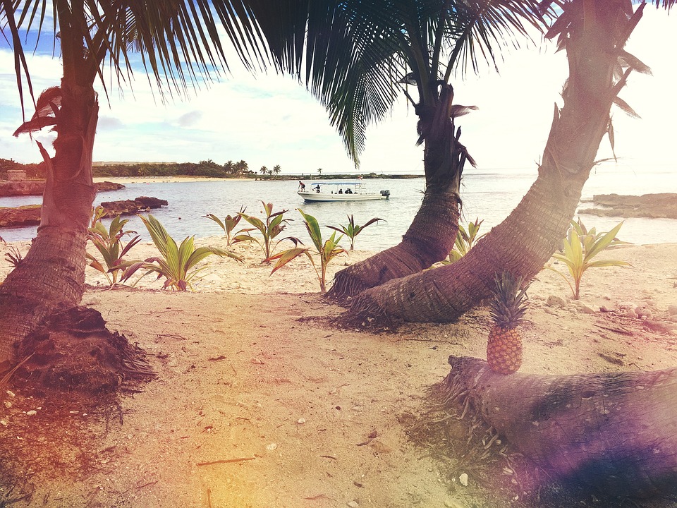 beach, boat, palms
